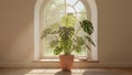 Bright Indoor Monstera Plant by Arched Window adobestock.com Interior Decor Royalty Free Stock Photo